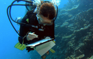 A scuba diver records observations on a slate while surveying a reef.