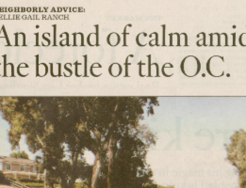 An island of Calm amid the bustle of the O.C.