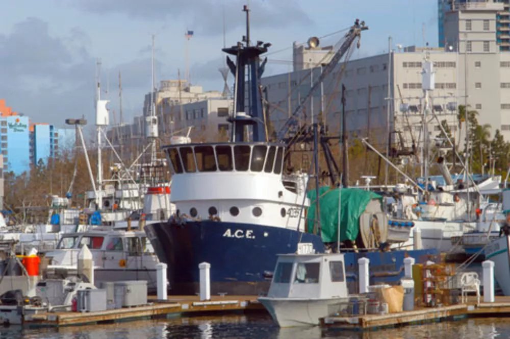 The A.C.E. fishing boat docked in a harbor.